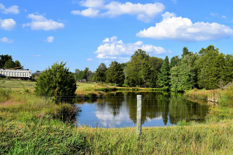 Making water safer