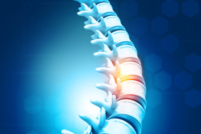 Harnessing the immune system to heal spinal cord injuries
