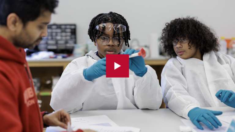 Researchers for a day