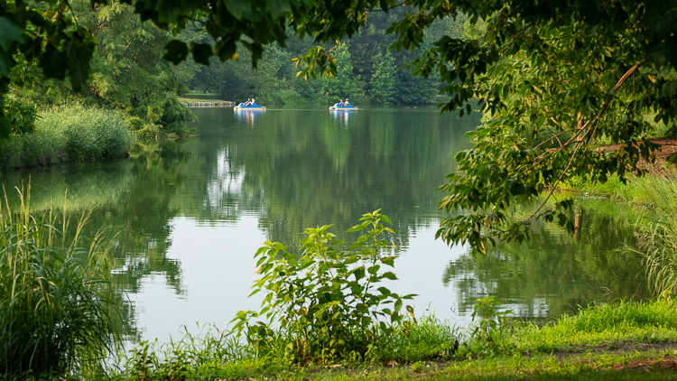 Understanding the rural experience