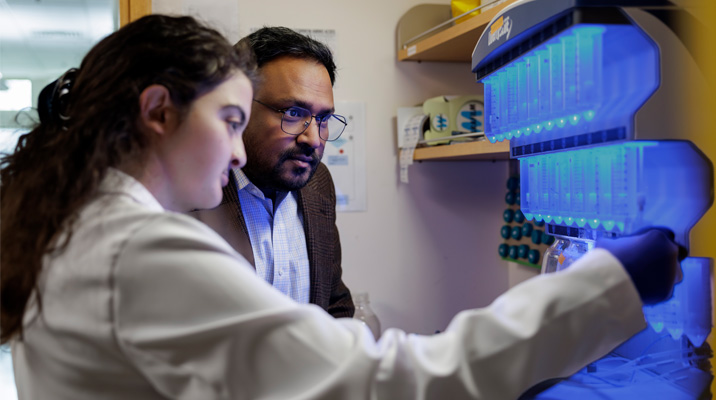 Can we prevent Alzheimer’s disease?