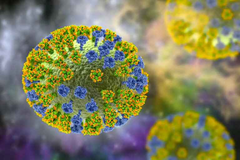 New tool maps flu risk across all 50 states