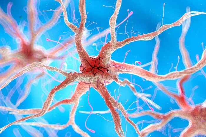 The mind is a mystery — we're unlocking it